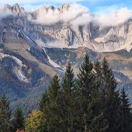 Apartment Unterhollenau Going am Wilden Kaiser Exteriér fotografie